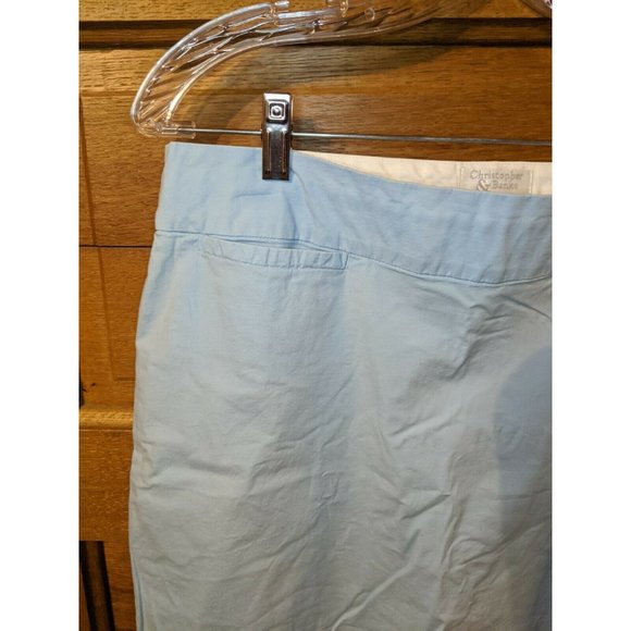 CJ Banks Size 10 Light Blue Skirt Modest Christopher Womens - Picture 4 of 8